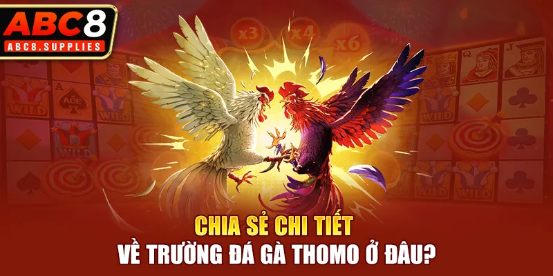 Chia sẻ chi tiết về trường đá gà Thomo ở đâu?